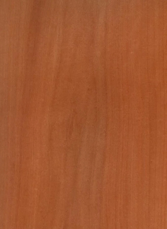 麦当娜的颜色通常是奶油色或浅褐色，但是也有会一些深红色的斑块，麦当娜是以树瘤闻名的，密集的树瘤和清晰的漩涡纹理是麦当娜的卖点。纹理通常是清晰的直纹。.webp.jpg