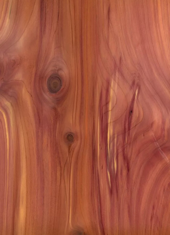 美国香杉的芯材颜色趋向于红色或紫褐色。边材颜色淡黄色，芯材上会出现一些条纹。纹理通常是直纹，不规则。质地均匀。.webp.jpg