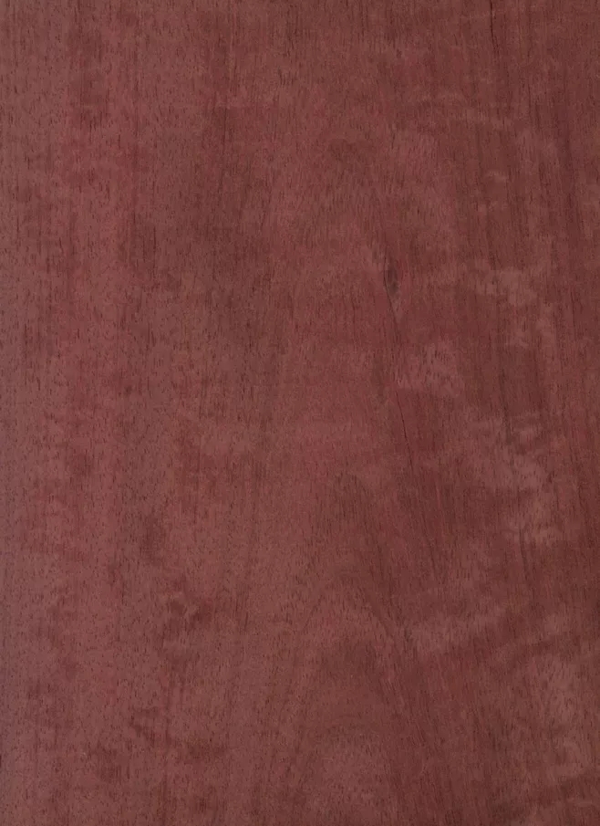 紫心木，这种木材的新鲜切面为暗灰色或紫褐色，随着时间在光线下暴露久后，变成深茄紫色。但是随着时间继续，并伴随紫外光的照射后会成为暗褐色（栗色、紫酱色，带紫色调）甚至黑色。如果采用防紫外线的涂饰对木材进行处理，则可以延缓这样的变色进程。木材纹理通常直，但亦有波纹和不规则的部位。材质结构中，天然光泽度好。.webp.jpg
